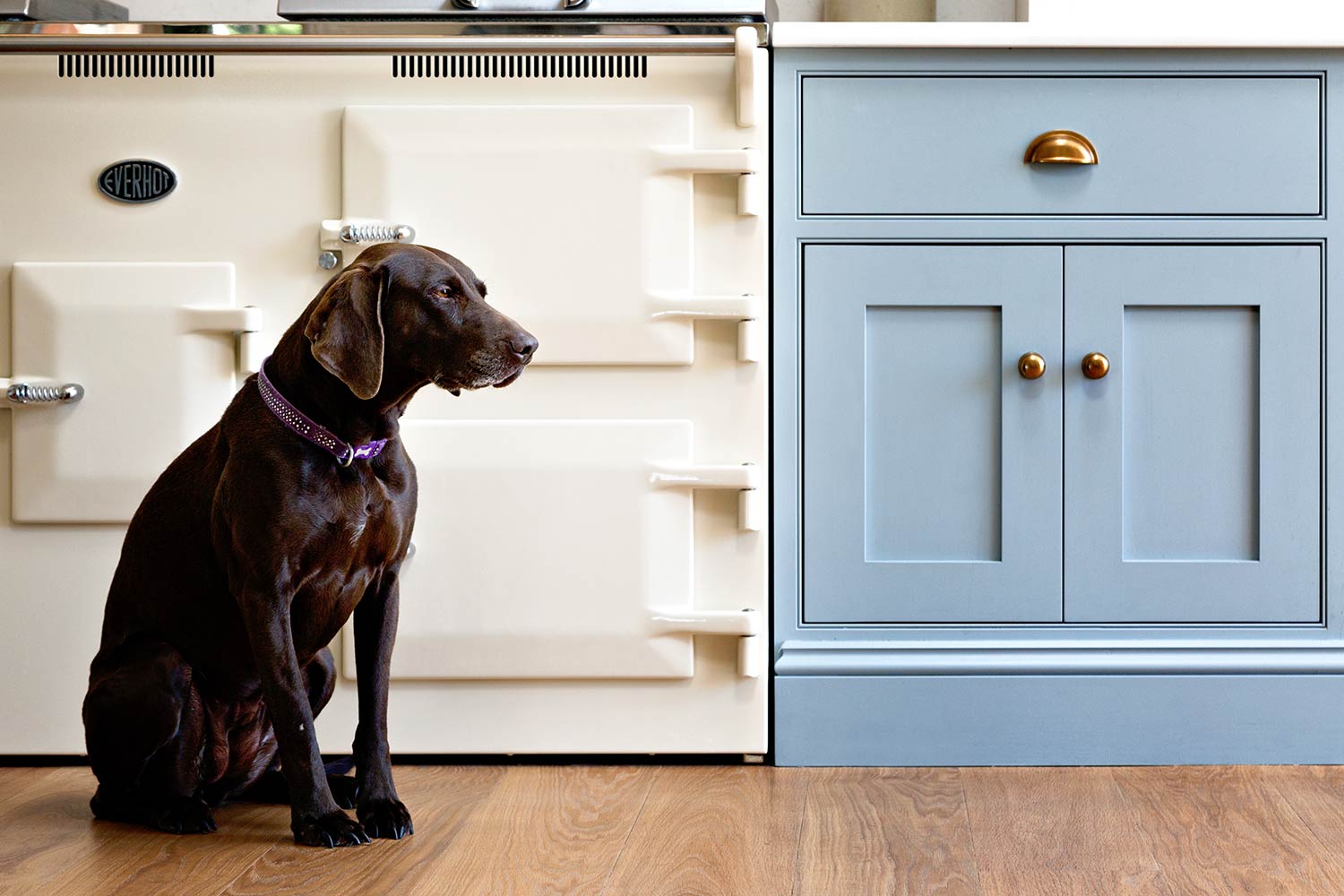 Everhot Cookers, Stoves & Grills | Carbon Negative | British Made